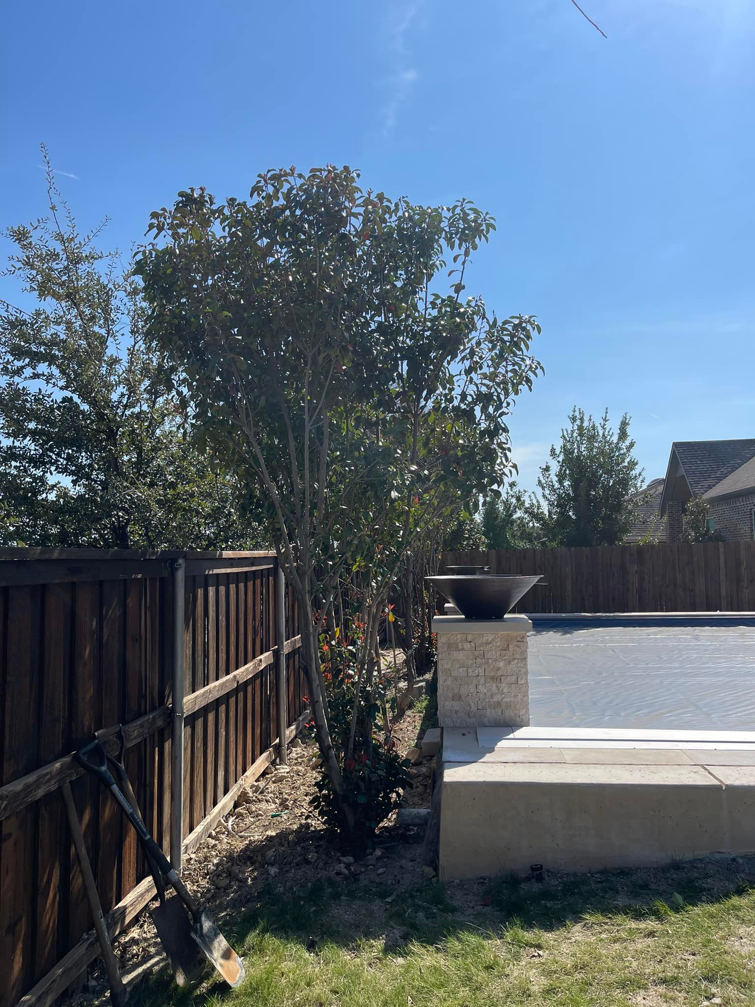 Before: overgrown brush along pool fenceline