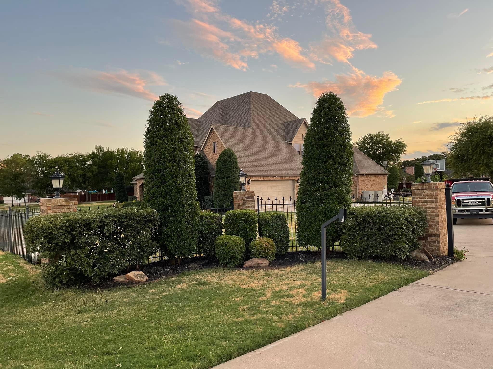 Perfectly shaped conical trees at luxury home at sunset — Keller TX