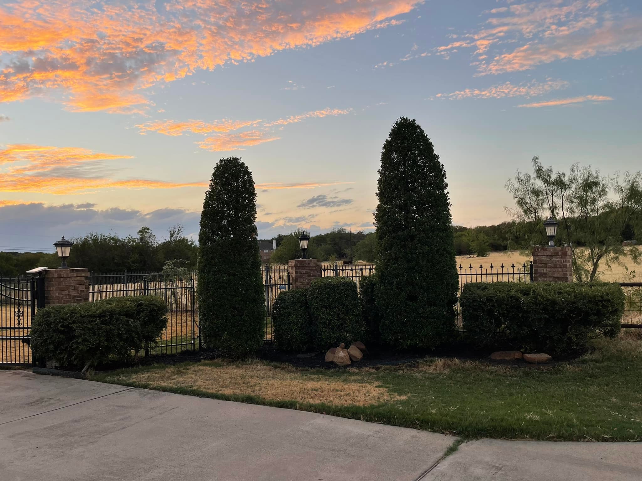 Trimmed trees at sunset in Tarrant County neighborhood