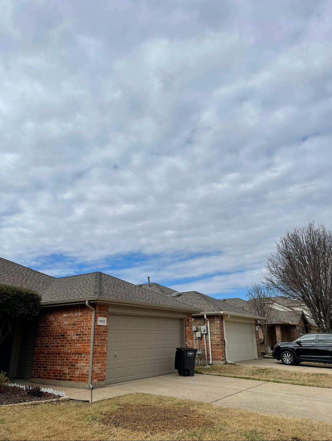 After: beautifully trimmed tree at residential home