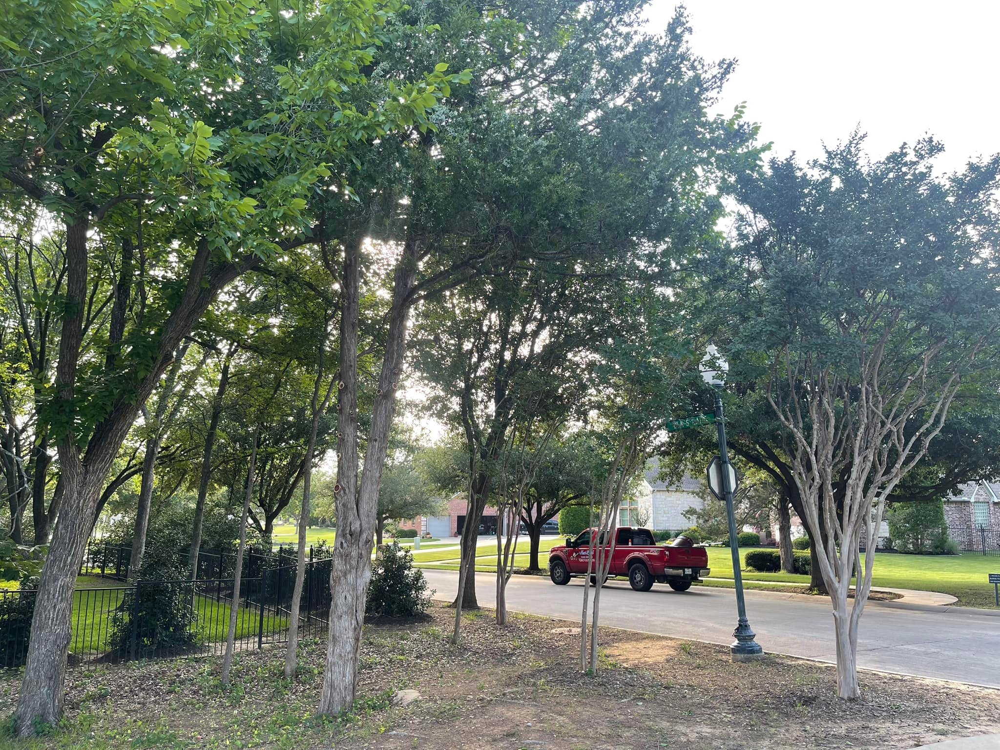 Next Level Tree Service crew and branded truck at a job site in Tarrant County