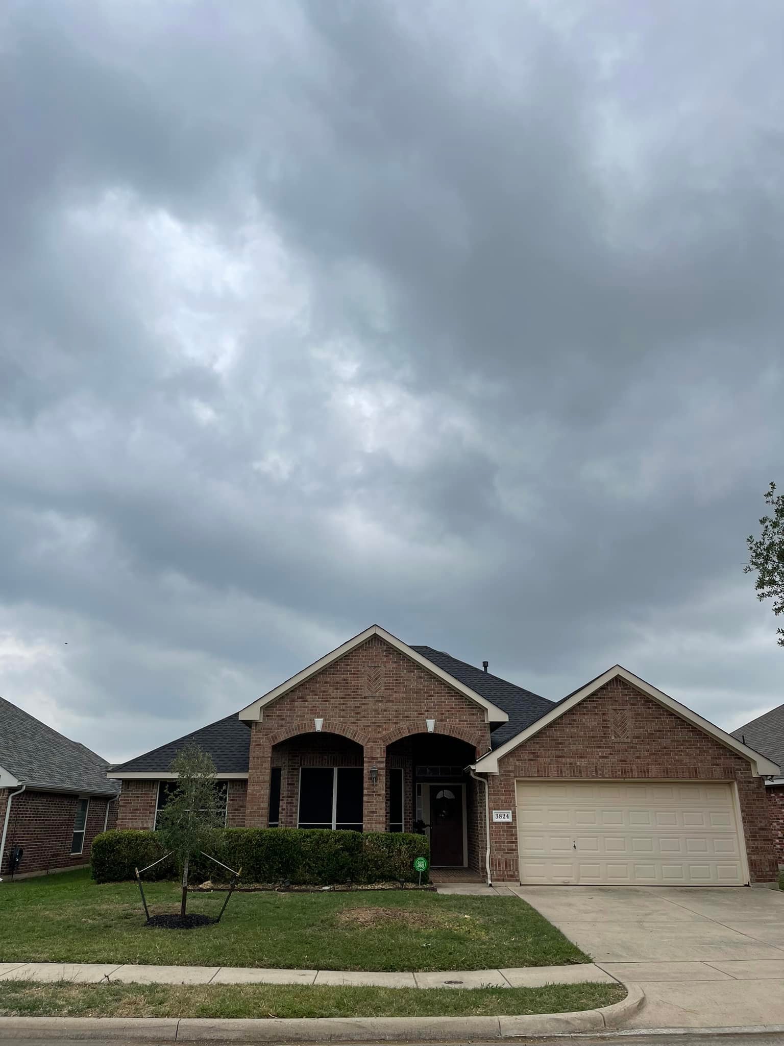 After: tree removed, yard clean